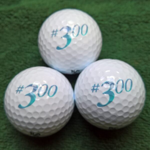 Sleeve #300 Golf Balls